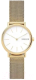 Часы наручные женские Skagen SKW2693 - 