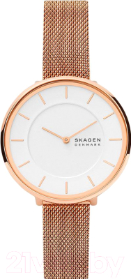 Часы наручные женские Skagen SKW3013