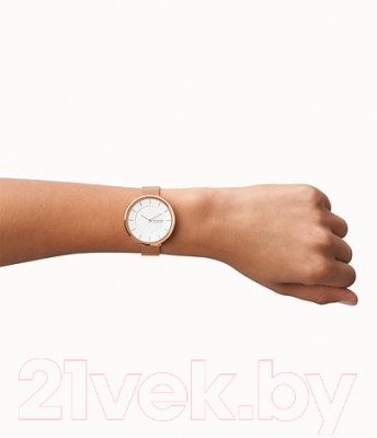 Часы наручные женские Skagen SKW3013