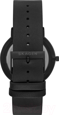 Часы наручные мужские Skagen SKW6567