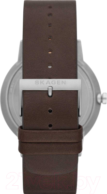 Часы наручные мужские Skagen SKW6753