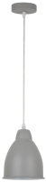 

Потолочный светильник Arte Lamp, Braccio A2054SP-1GY