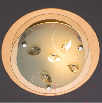 Потолочный светильник Arte Lamp Tiana A4043PL-1CC