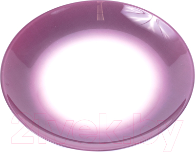 

Тарелка столовая мелкая Luminarc, Winter Fizz Purple J7697