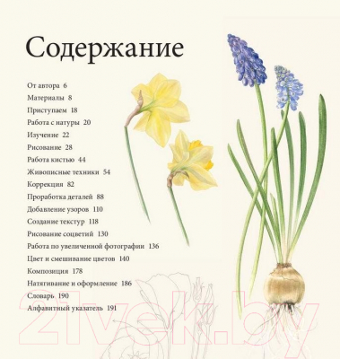 Книга МИФ Ботанические портреты. Практическое руководство (Шоуэлл Б.)