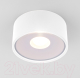 Светильник уличный Elektrostandard Light LED 2135 35141/H (белый) - 