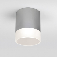 Светильник уличный Elektrostandard Light LED 2107 35140/H (серый) - 