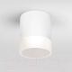 Светильник уличный Elektrostandard Light LED 2107 35140/H (белый) - 