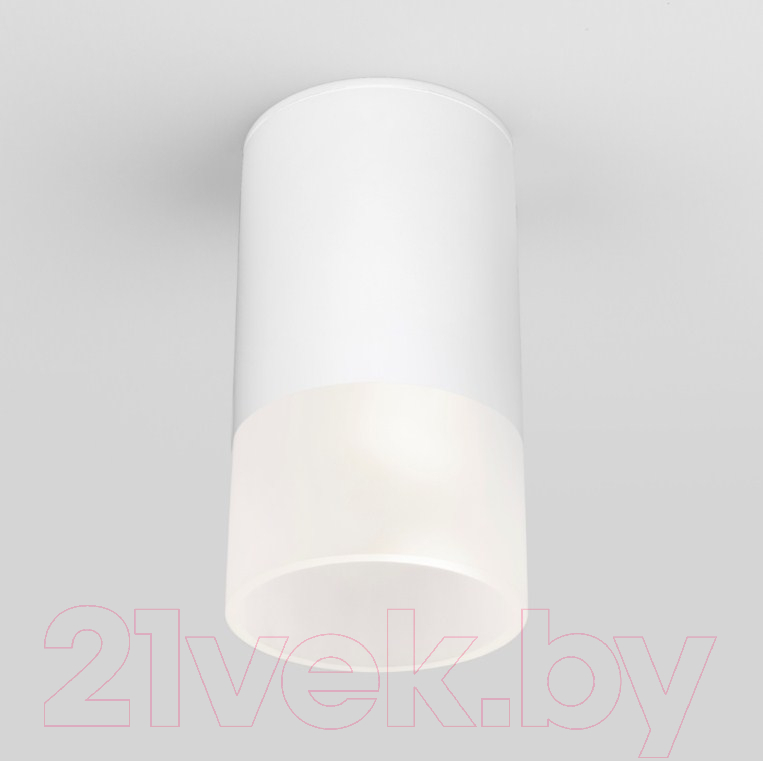 Светильник уличный Elektrostandard Light 2106 35139/H (белый)