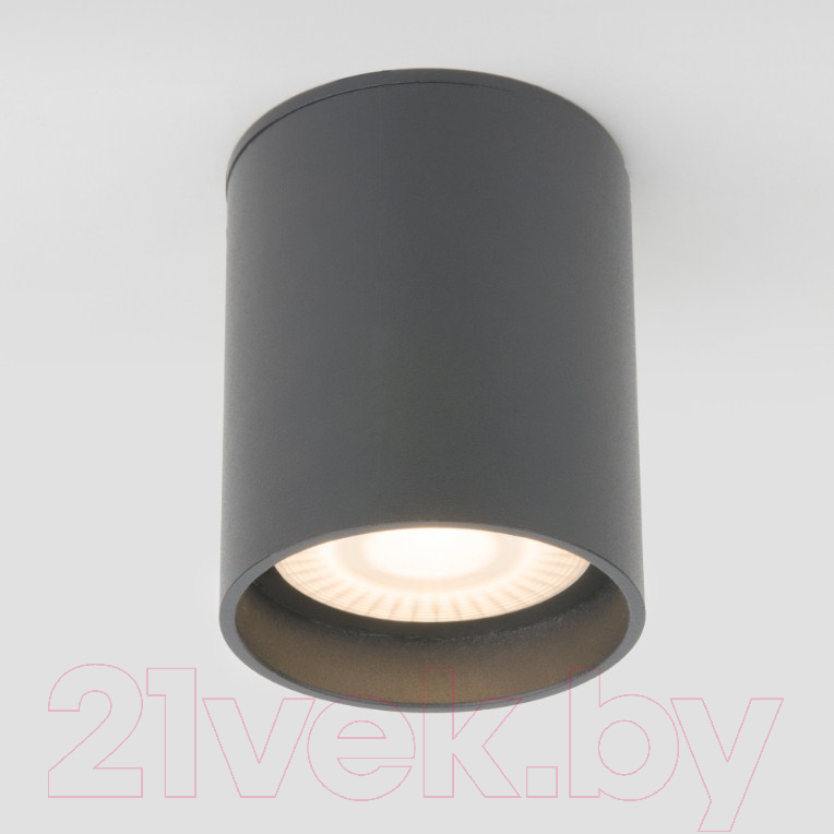 Светильник уличный Elektrostandard Light LED 2104 35130/H (серый)