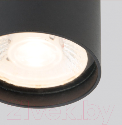 Светильник уличный Elektrostandard Light LED 2105 35132/H (черный)
