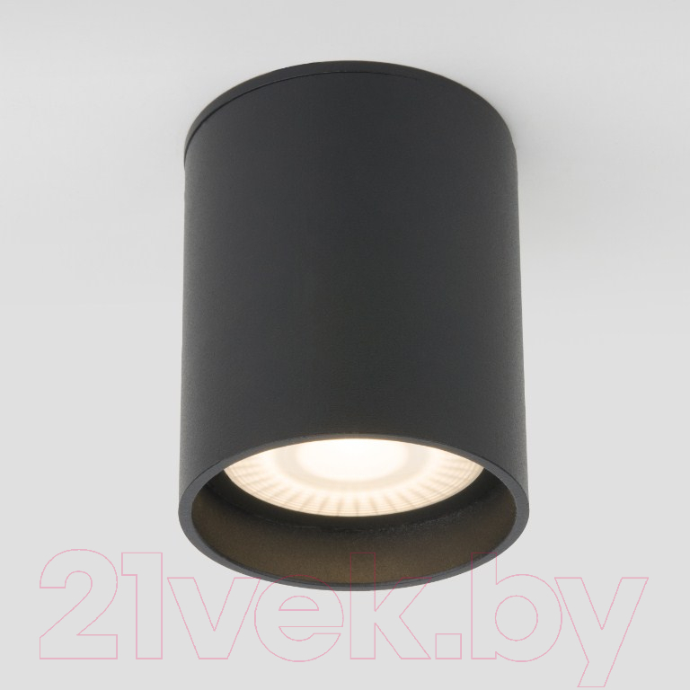 Светильник уличный Elektrostandard Light LED 2104 35130/H (черный)