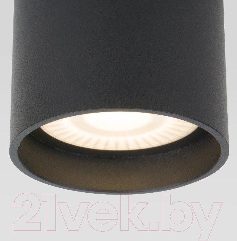 Светильник уличный Elektrostandard Light LED 2104 35130/H (черный) — фото 2