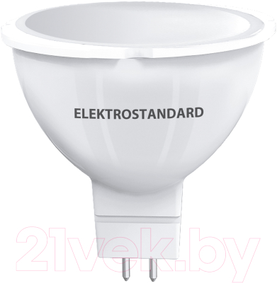 Лампа Elektrostandard BLG5309