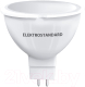 Лампа Elektrostandard BLG5309 - 