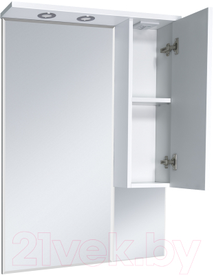 Шкаф с зеркалом для ванной Misty Терра 70 / П-Тер02070-011П