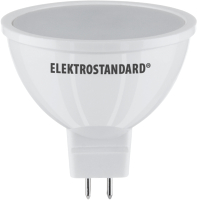 Лампа Elektrostandard BLG5304 - 