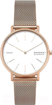 Часы наручные женские Skagen SKW2784