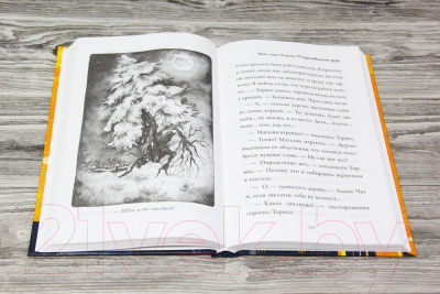 Изображение товара Книга АСТ Ночь, когда я встретил Рождественского Деда (Миллер Б.)