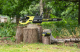 Миниатюра изображения товара Пила цепная аккумуляторная Ryobi Max Power RY36CSX40B-0 (5133004898)