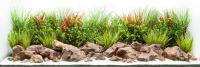 Декорация для аквариума Barbus Прибрежные пейзажи. Насыщенная река / Background 038 - 