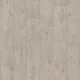 Линолеум Tarkett Stimul Dandy 1 (1.5x3м) - 
