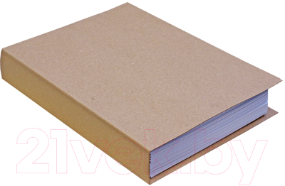 Изображение товара Папка для бумаг Деловые ресурсы ВП005 (серый)