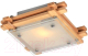 Потолочный светильник Arte Lamp Archimede A6460PL-1BR - 