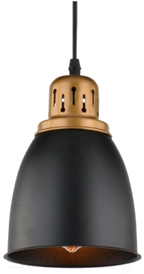 Потолочный светильник Arte Lamp Eurica A4248SP-1BK