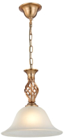 

Потолочный светильник Arte Lamp, Conis A8391SP-1PB