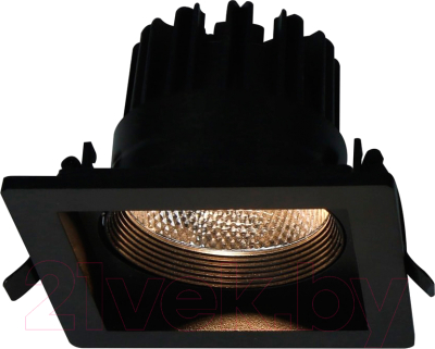 

Точечный светильник Arte Lamp, Privato A7018PL-1BK
