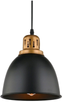 Потолочный светильник Arte Lamp Eurica A4245SP-1BK - 