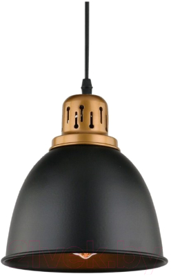 Потолочный светильник Arte Lamp Eurica A4245SP-1BK