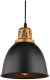 Потолочный светильник Arte Lamp Eurica A4245SP-1BK - 