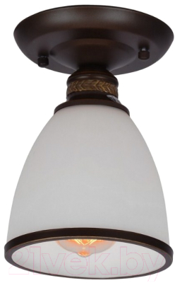 Потолочный светильник Arte Lamp Bonito A9518PL-1BA