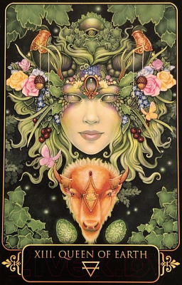 Изображение товара Гадальные карты Blue Angel Publishing Dreams of Gaia Tarot / DG81