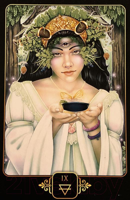Изображение товара Гадальные карты Blue Angel Publishing Dreams of Gaia Tarot / DG81