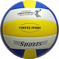 Мяч волейбольный Vimpex Sport VLPVC3002 (размер 5) - 
