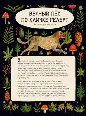 Книга АСТ Волшебный мир природы. Сказки, мифы и легенды (Кок-Старки К.)