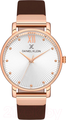 Часы наручные женские Daniel Klein 12895-3