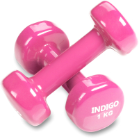 Набор гантелей Indigo 92005 (2x1кг, розовый) - 