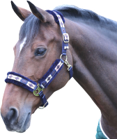 

Недоуздок для лошади Shires, Polo COB / 4163/P/N/N/COB