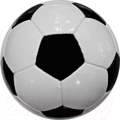 Футбольный мяч Vimpex Sport Official 9088 (размер 5, белый/черный)