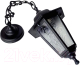 Светильник уличный Элект Адель 1 НСУ 06-60-001 У1 (черный прозрачное стекло) - 