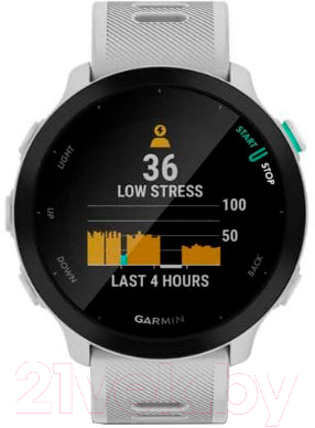 Умные часы Garmin Forerunner 55 / 010-02562-11