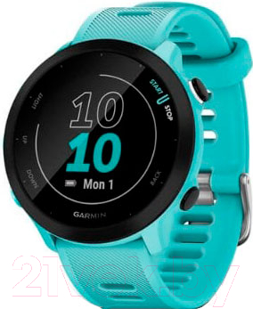Умные часы Garmin Forerunner 55 / 010-02562-12