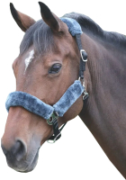 

Недоуздок для лошади Shires, COB / 4165/BLKGREY/COB