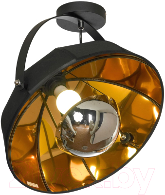 Потолочный светильник Lussole Klamath LSP-0556-C