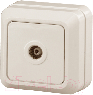 Изображение товара Розетка INTRO Quadro 2-301-02 / Б0027659 (слоновая кость)