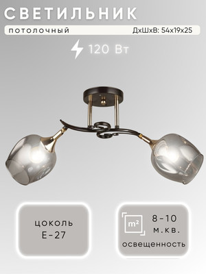 Потолочный светильник Aitin-Pro N4476/2 -